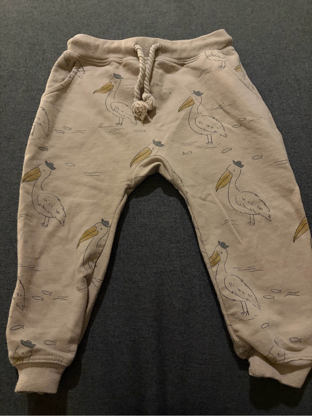 Rylee + Cru Beige Pelican Joggers with Drawstring
